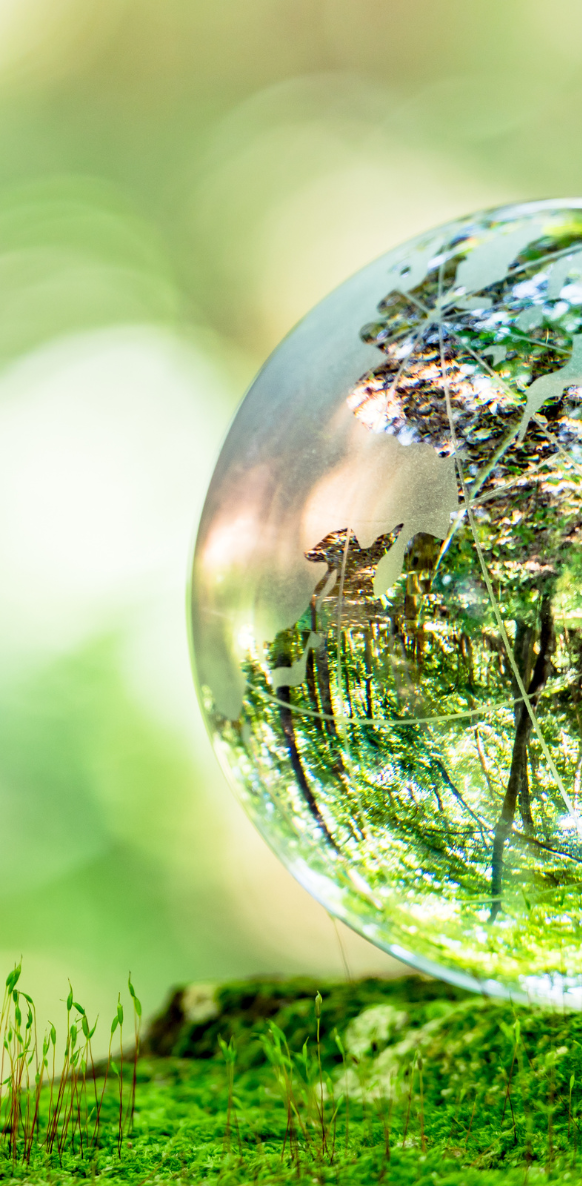 A glass globe in nature.