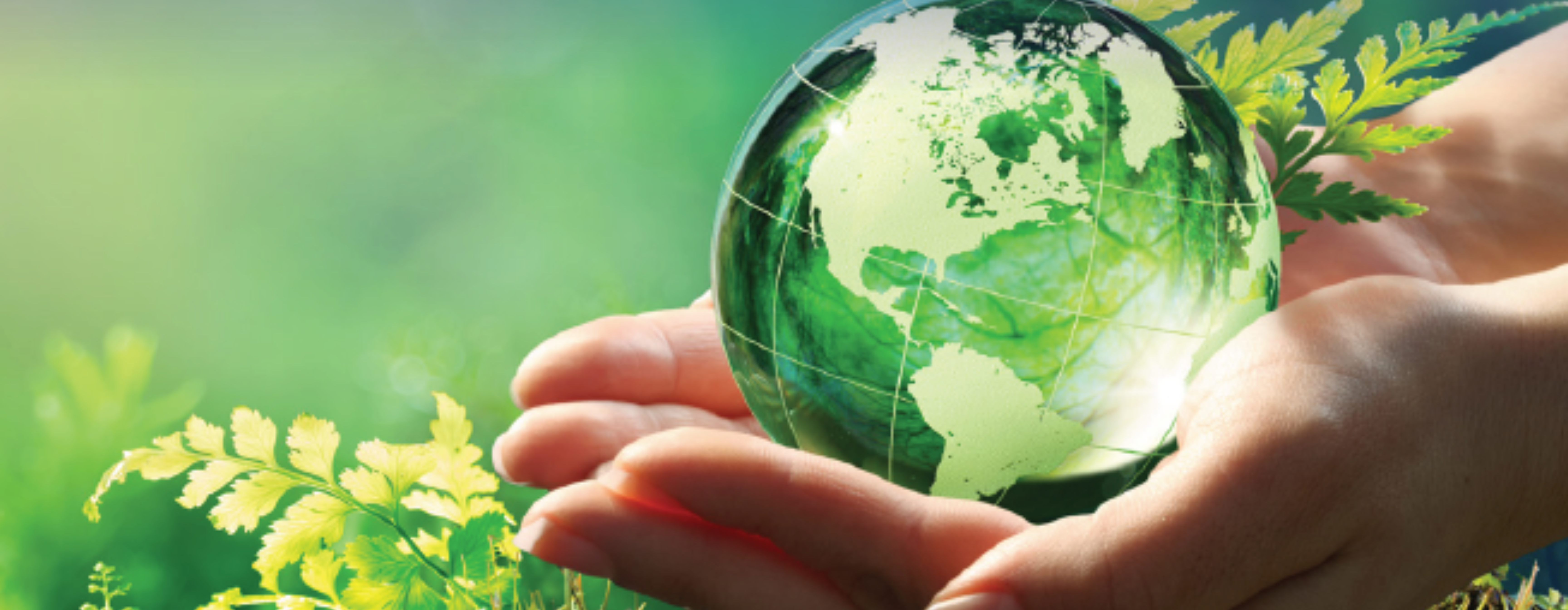 une-main-tenant-soigneusement-un-globe-de-verre-entouré-par-la-nature une-main-tenant-soigneusement-un-globe-de-verre-entouré-par-la-nature