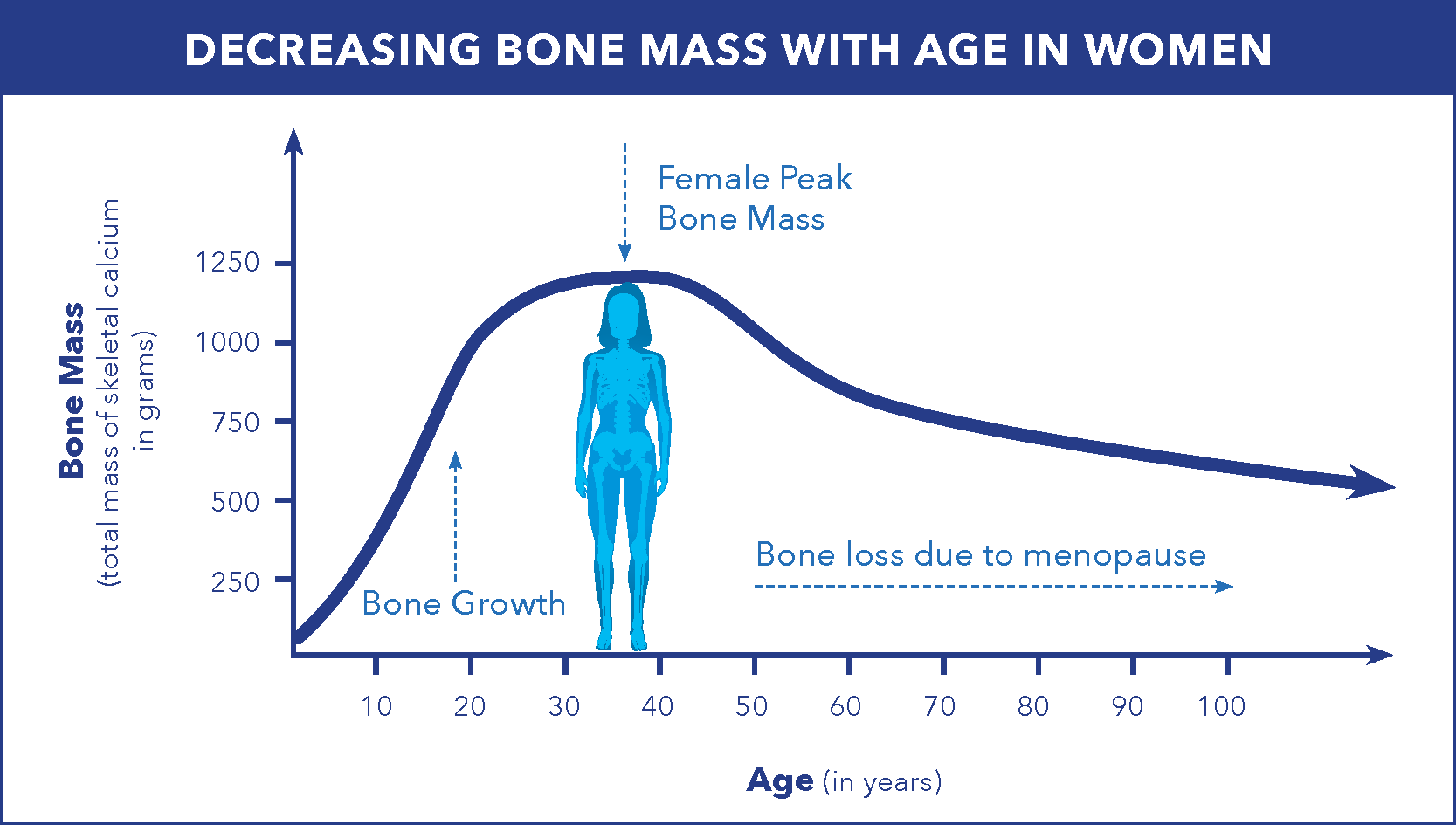 Chart showing bone mass decreasing in women 