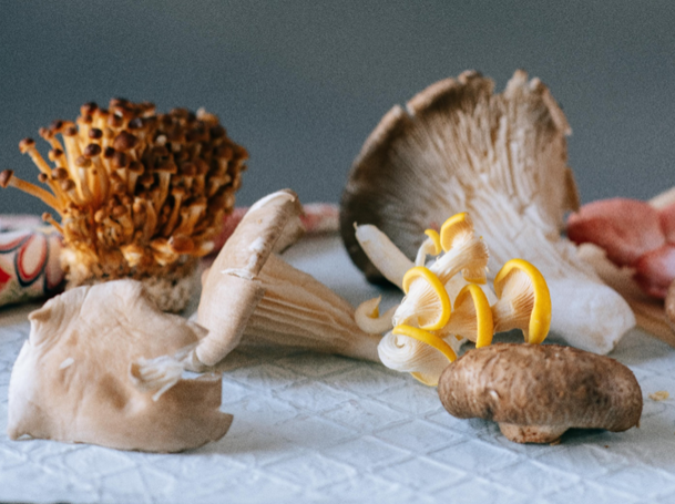 Different mushrooms on a counter. 