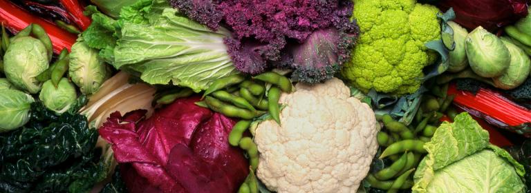 Various vegetables grouped together