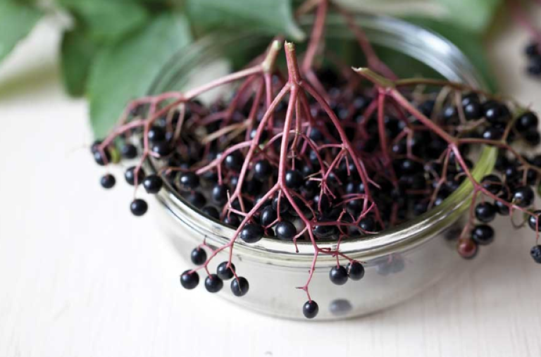 Black currents in a bowl on a kitchen counter.