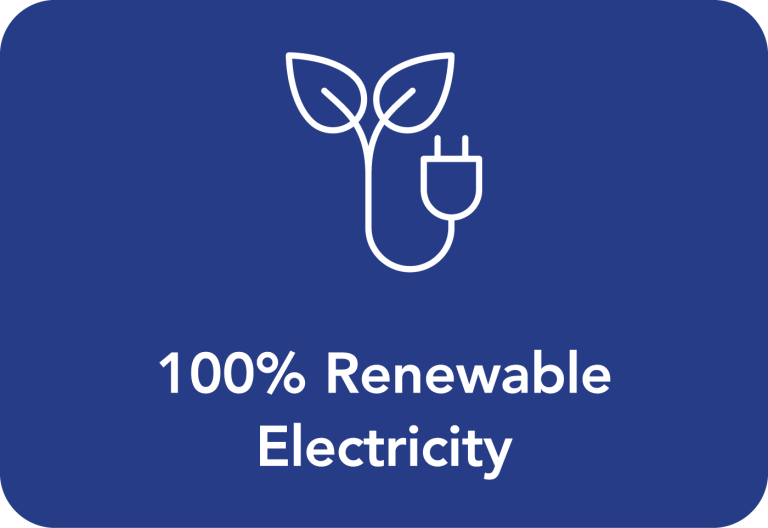 100% Renewable electricity