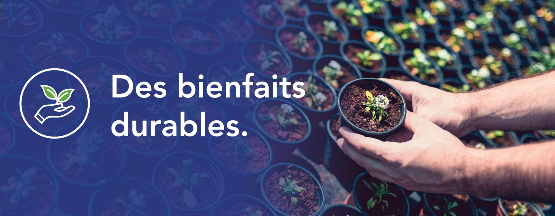 Jardiner des plantes aux bienfaits durables